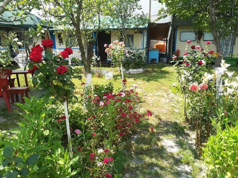 Camping Casuta Mihaela Crisan  Extérieur photo