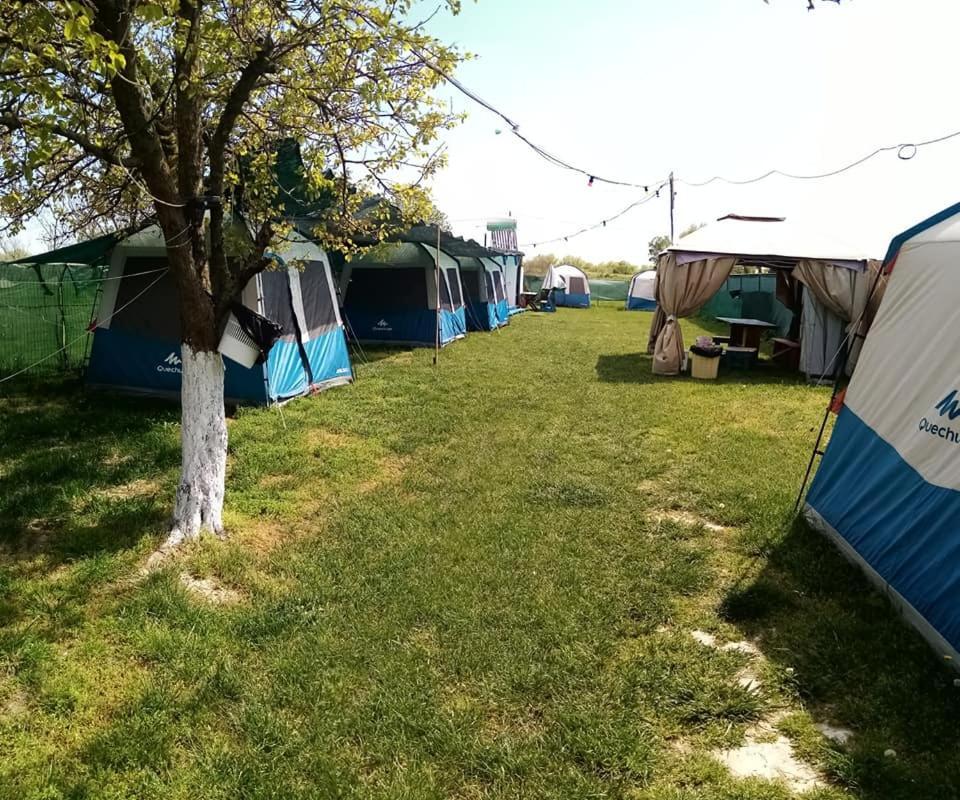 Camping Casuta Mihaela Crisan  Extérieur photo