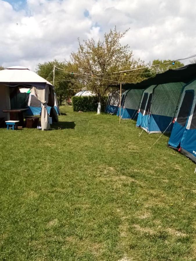 Camping Casuta Mihaela Crisan  Extérieur photo