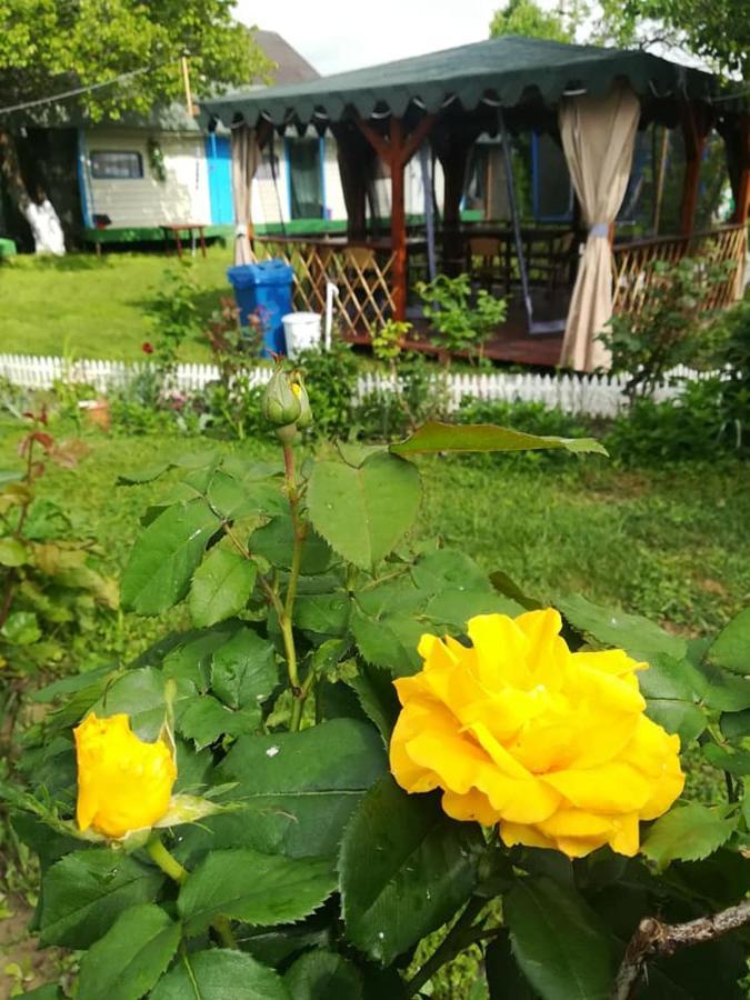 Camping Casuta Mihaela Crisan  Extérieur photo