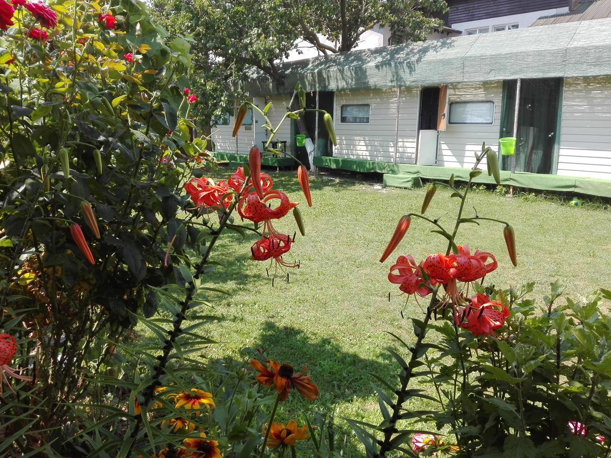 Camping Casuta Mihaela Crisan  Extérieur photo