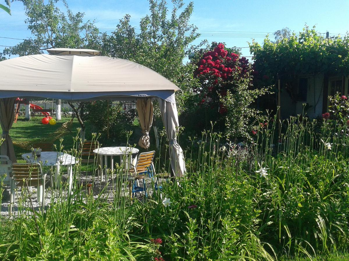 Camping Casuta Mihaela Crisan  Extérieur photo