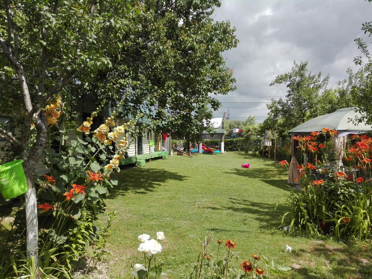 Camping Casuta Mihaela Crisan  Extérieur photo