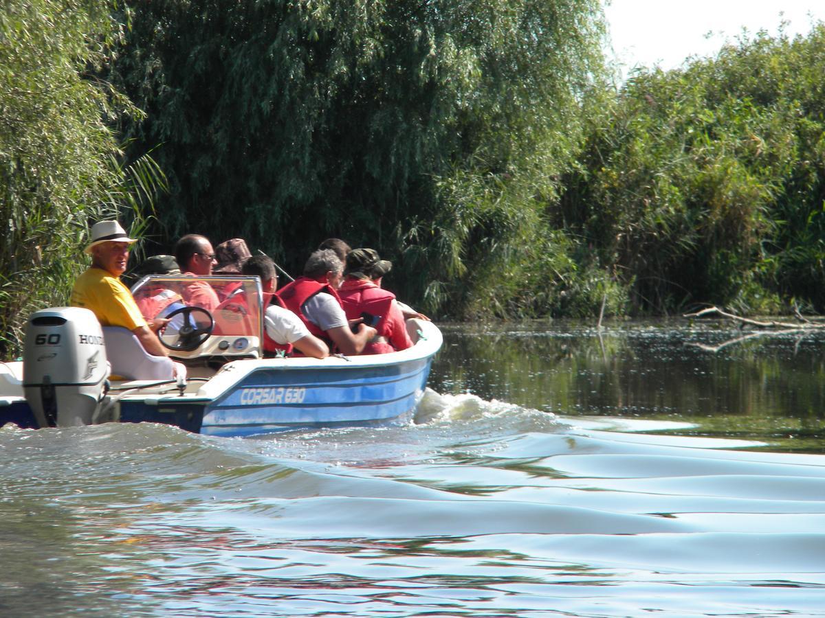 Camping Casuta Mihaela Crisan  Extérieur photo